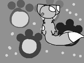 Cat Animation! 1