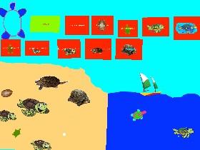 Turtle Clicker! 1