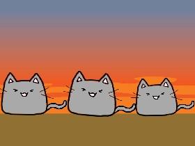 cat dance by: sprint harper