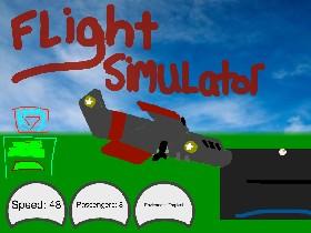 flight simulator