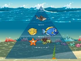 Ecological Pyramid 1