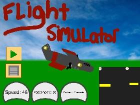 Flight Simulator