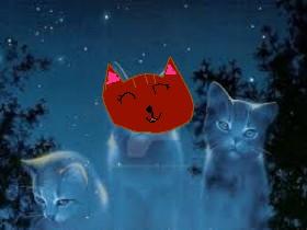 Warrior cats quiz part 1