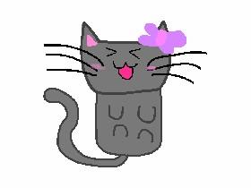 CATS FOR DA WIN!