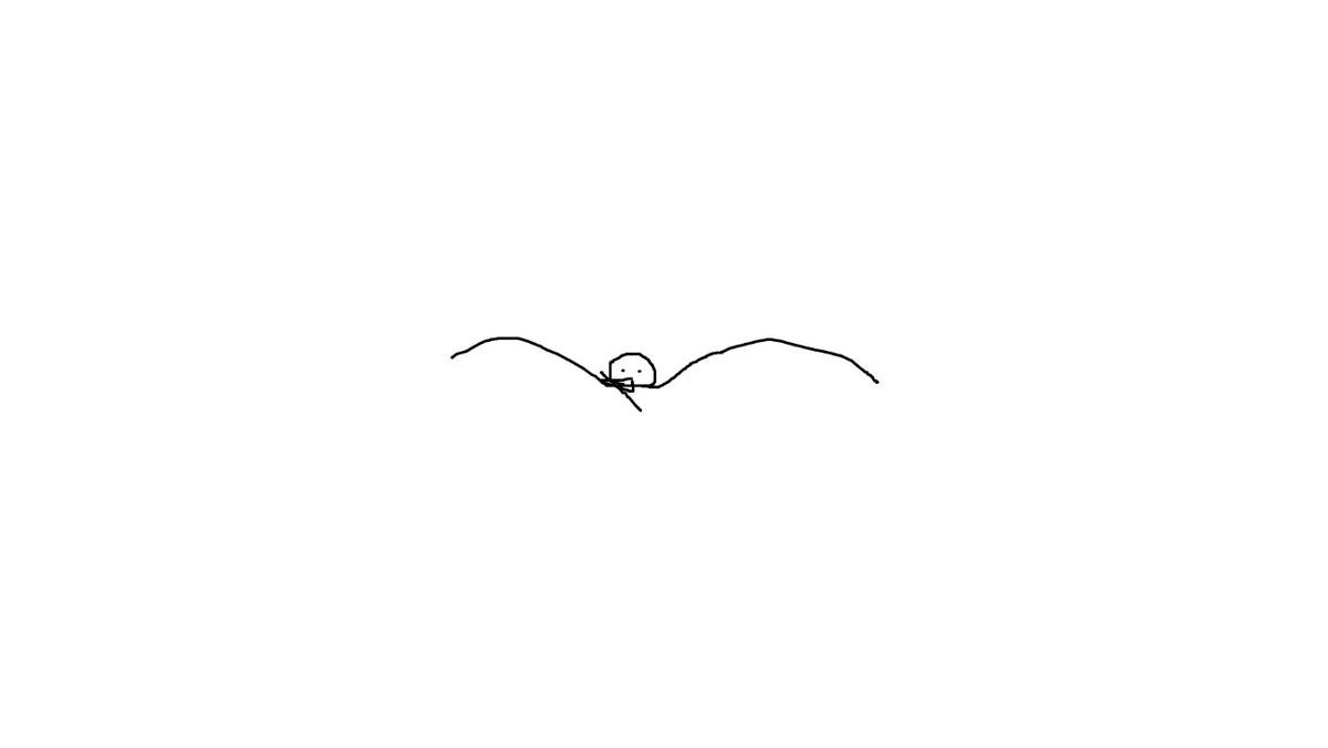 Flying Bird - web