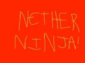 Nether Ninja