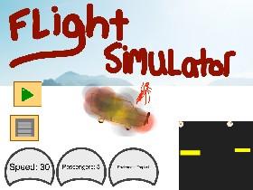 Flight Simulator 1 1