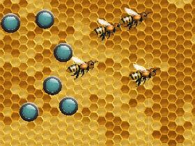bee hive