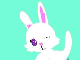 bunny animation