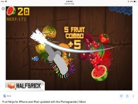 fruit ninja