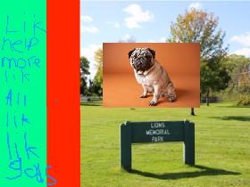 pug clicker 1