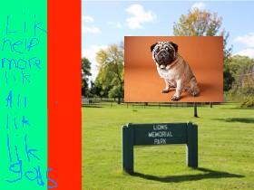 pug clicker 1