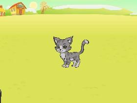 A Pet Game 1