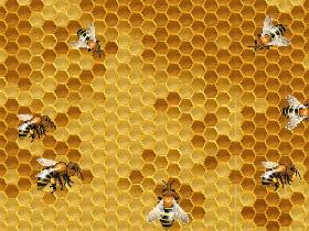 My hive