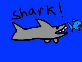 Shark! 1 1 1