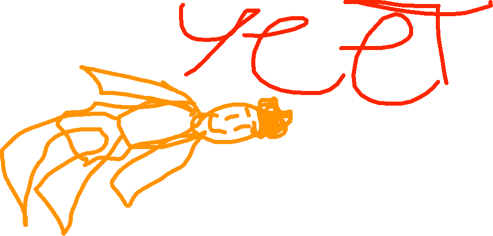 MEME TIME 👌 Yeet