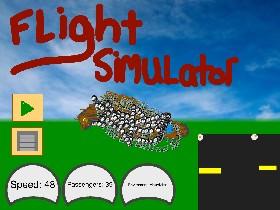 Flight Simulator 1