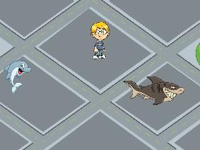 Sharks vs. Dolphins 1