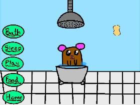 My Pet Hamster