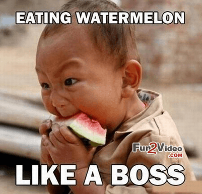 meme watermelon