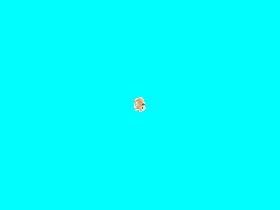 hamster run 2 1 1