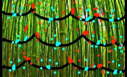 Panda Poker!(Chistmas!) 1