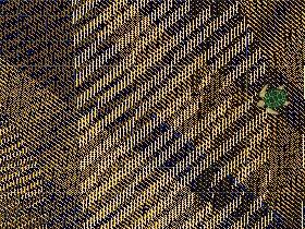 do you like gold patterns?