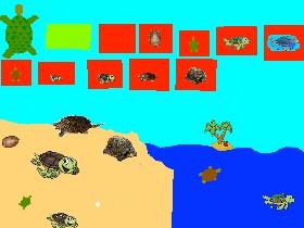 Turtle Clicker! 1 1