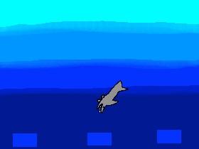 Shark! 1 1