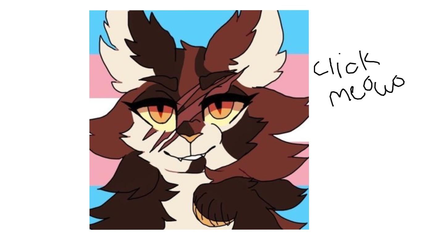 new warrior oc