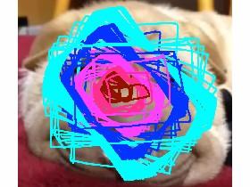 dogge