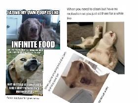 you daily dose of memes #3