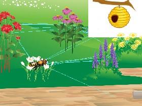 Bee Game