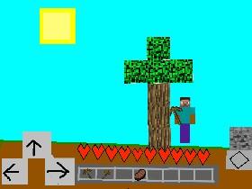 Minecraft World #1 1