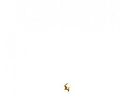 W.O.F.    FLAPPY GAME! 1
