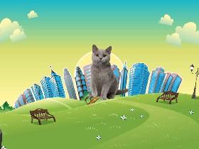 thecat