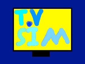 T.V Simulator!!