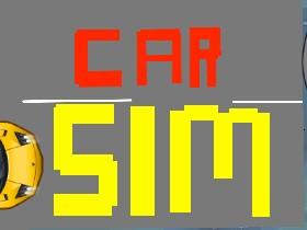 Car Sim RELEASED 1