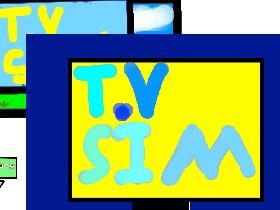 T.V Simulator! 1