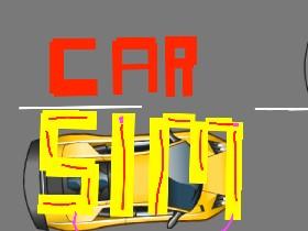 Car Sim RELEASED 1