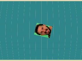 Picture and bird duplicator