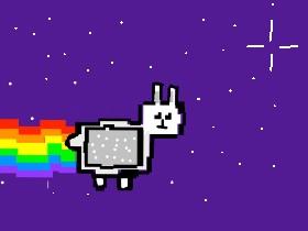 nyan buny