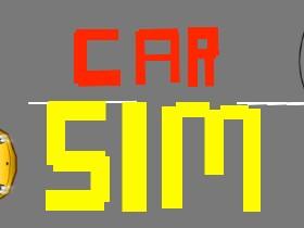 Car Sim RELEASED 1