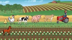 GO AROUND THE Farm