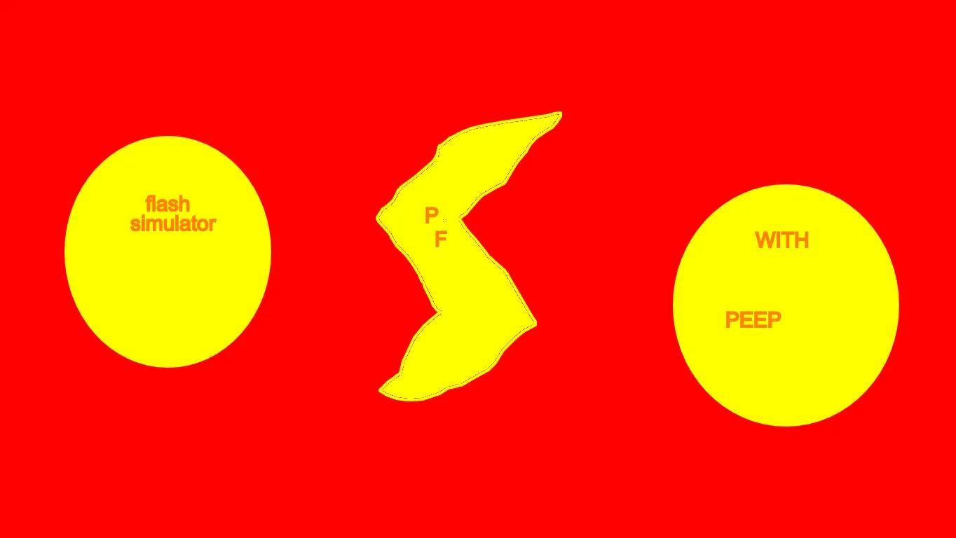 FLASH SIMULATOR