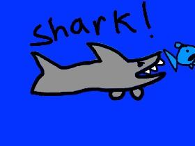 Shark! 1 1 1