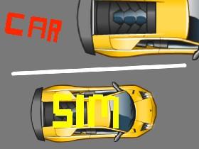 Car Sim RELEASED 1 1