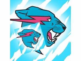 mr beast