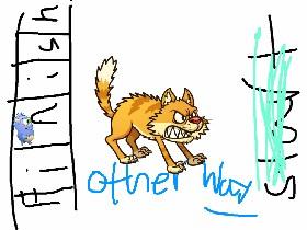 unfair race