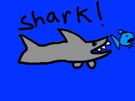 Shark